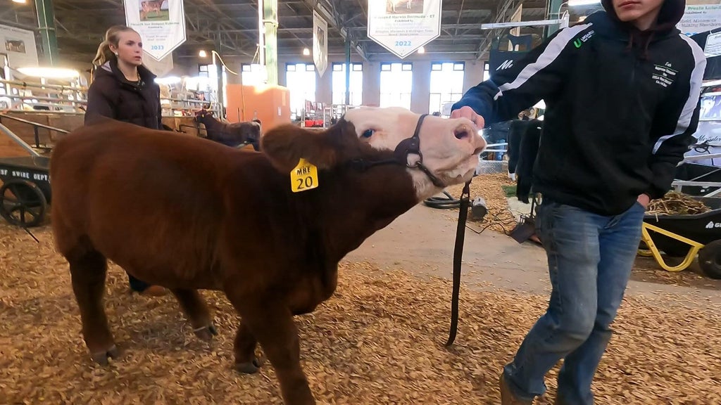 Spotlight on beef as Minnesota midterms near — WCCO / CBS Minnesota, Prior Lake Community news