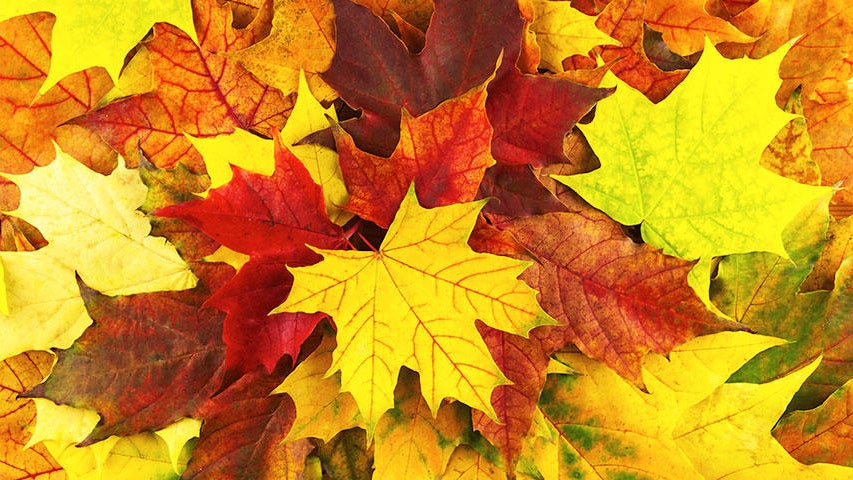 Cooler, quieter fall weather returns Tuesday in the Twin Cities — WCCO / CBS Minnesota, Prior Lake Community news