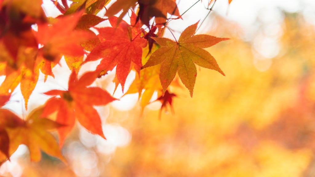 More sunny, mild late October weather in Minnesota Tuesday — WCCO / CBS Minnesota, Prior Lake Business news