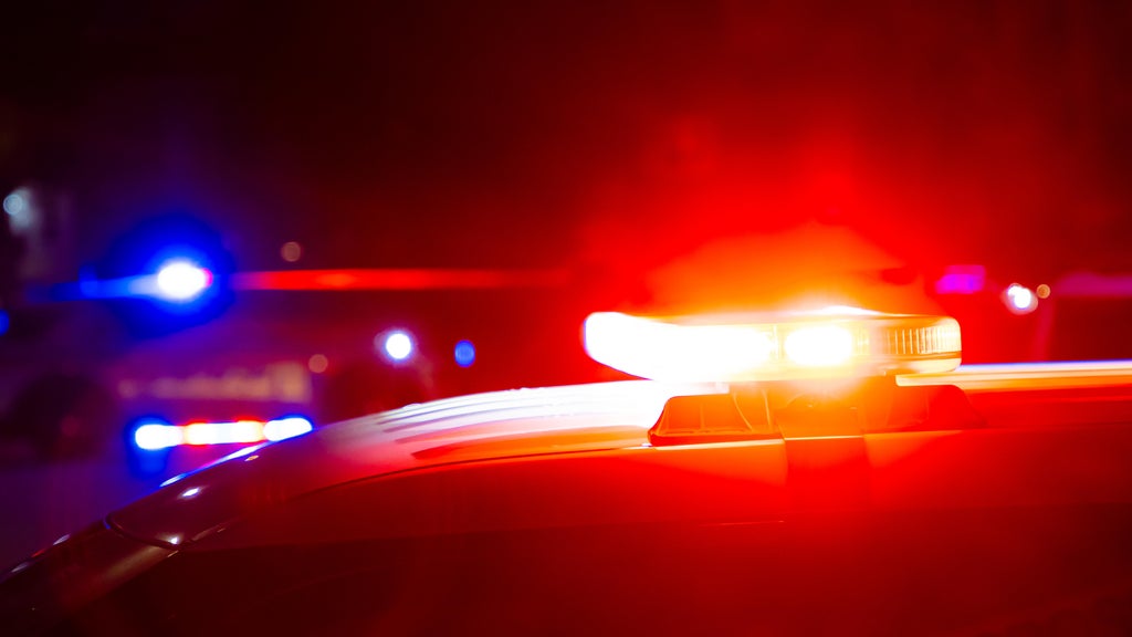 Driver killed in head-on collision with semi in central Minnesota — Prior Lake Community news