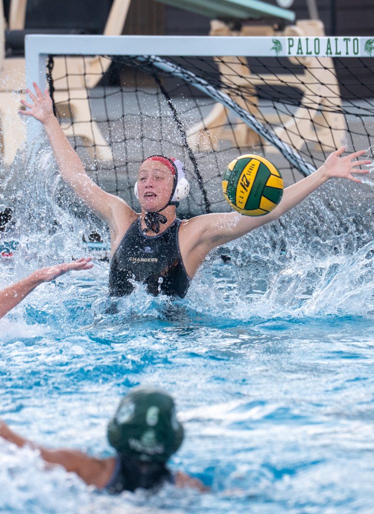 Wilcox Water Polo Caught in Vikings Rip Current — Silicon Valley Voice, Prior Lake Sports news