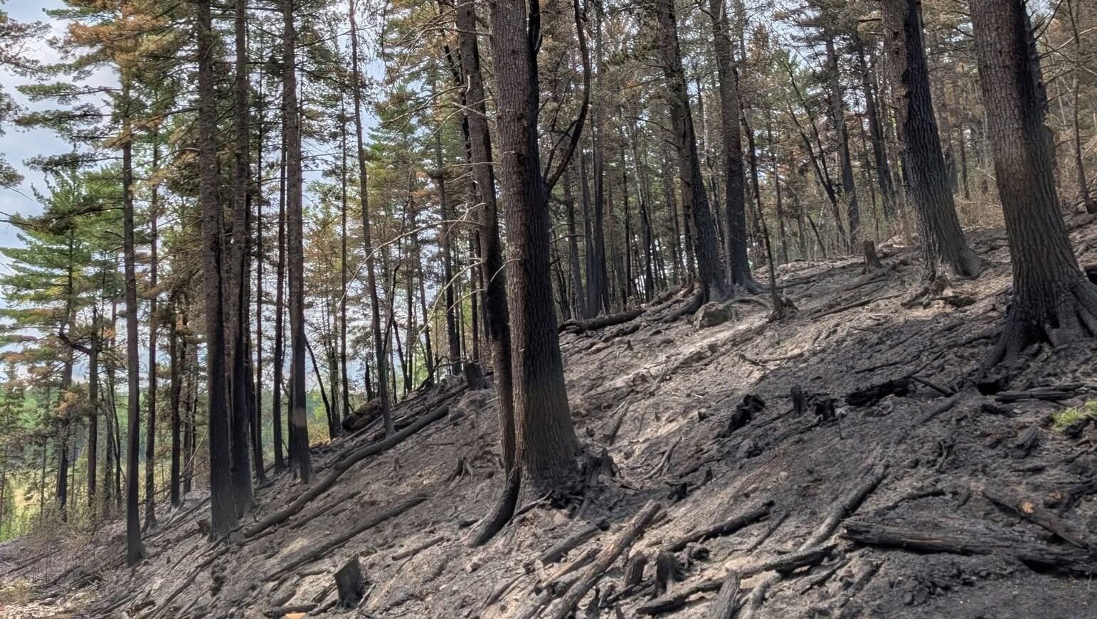 74-year-old who became separated from his family on a trail in Ely was discovered dead — KSTP 5, Prior Lake Community news
