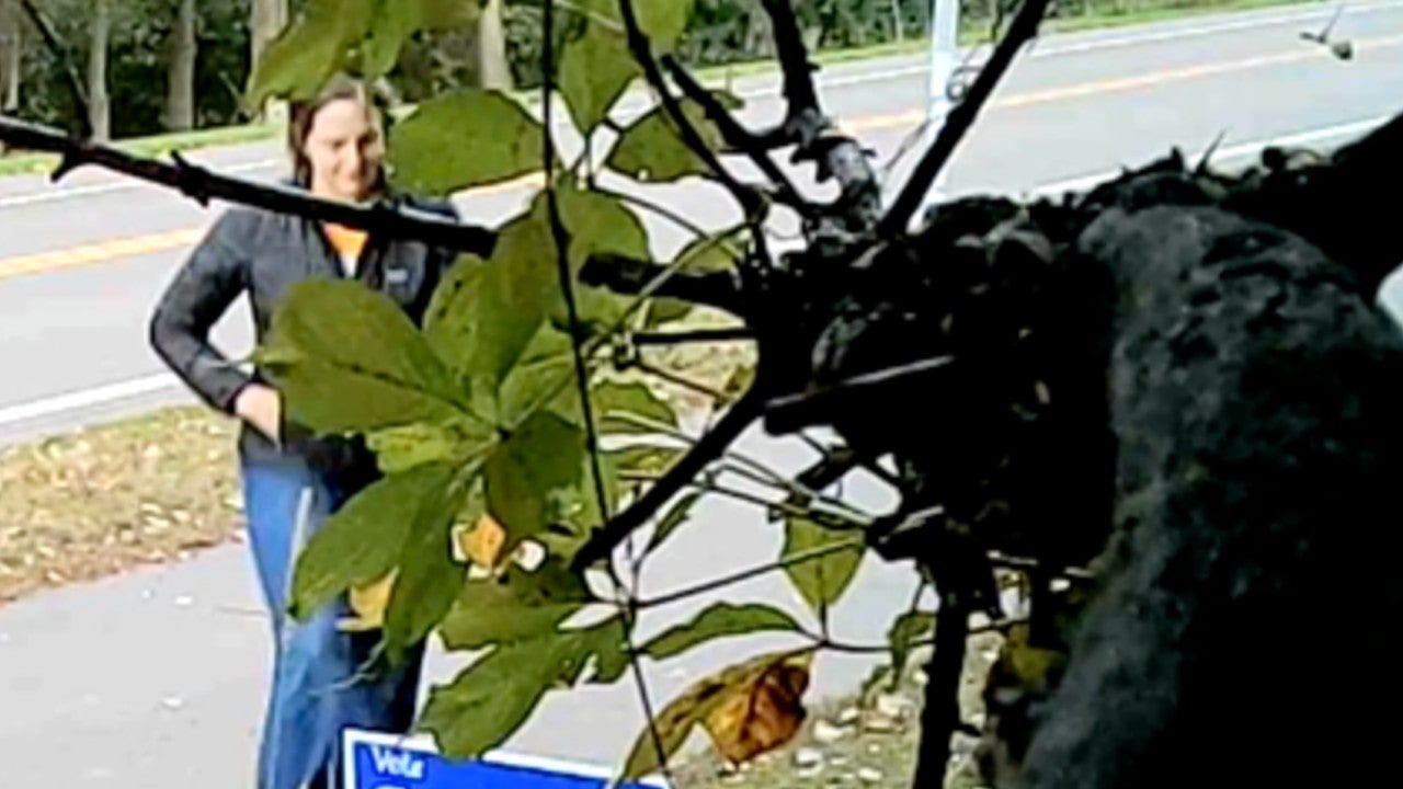 Video: Vadnais Heights council member removes mayoral candidate’s campaign sign, tosses it aside — KSTP 5, Prior Lake Real Estate news
