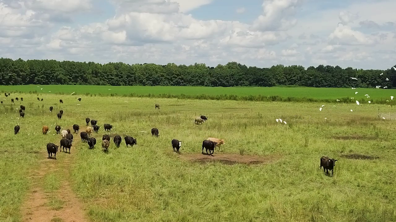 5 ON YOUR SIDE: Regenerative agriculture — Prior Lake Health news