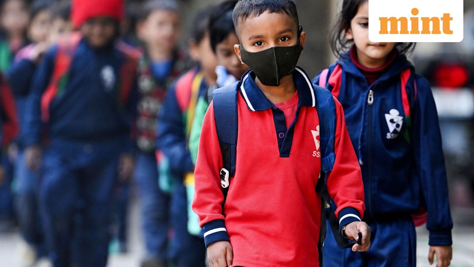 Chennai school holiday, Oct 21: Schools shut in four Tamil Nadu districts as heavy rains predicted | Check IMD alert — Mint India, Prior Lake Schools news